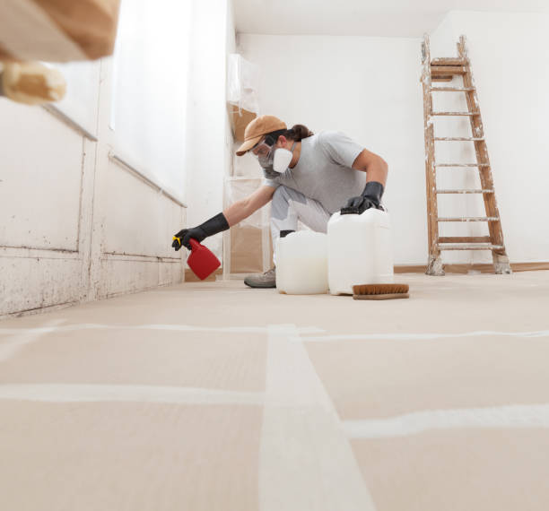Best Mold Prevention Services  in Northampton, PA